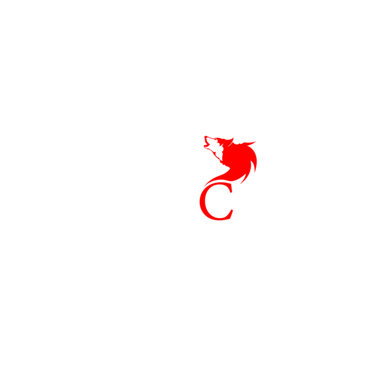762_Tenacity_Online_logo_03.thumb.png.0403ae637b89a3aeab8c524a96527736.png